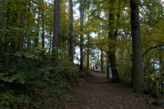 DSCN0517
