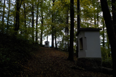 DSCN0519