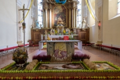 DSC2254-92